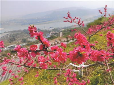 上传图片