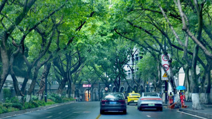 重庆秋雨要下66天？气象专家：不是持续下雨，其间也有晴天
