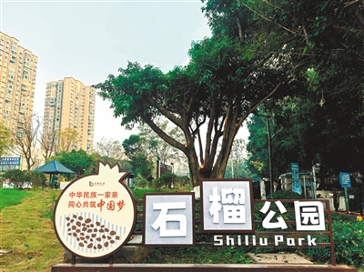 上传图片